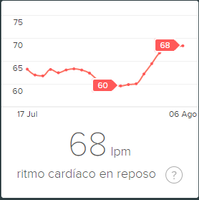 Panel de Fitbit.png