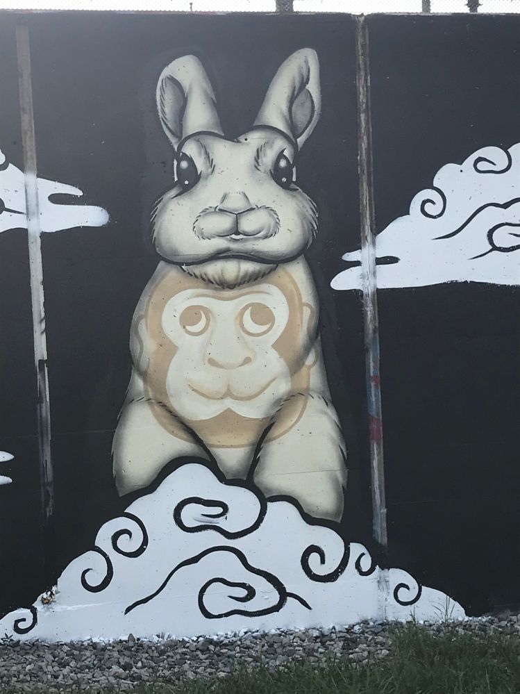 Monkey bunnie