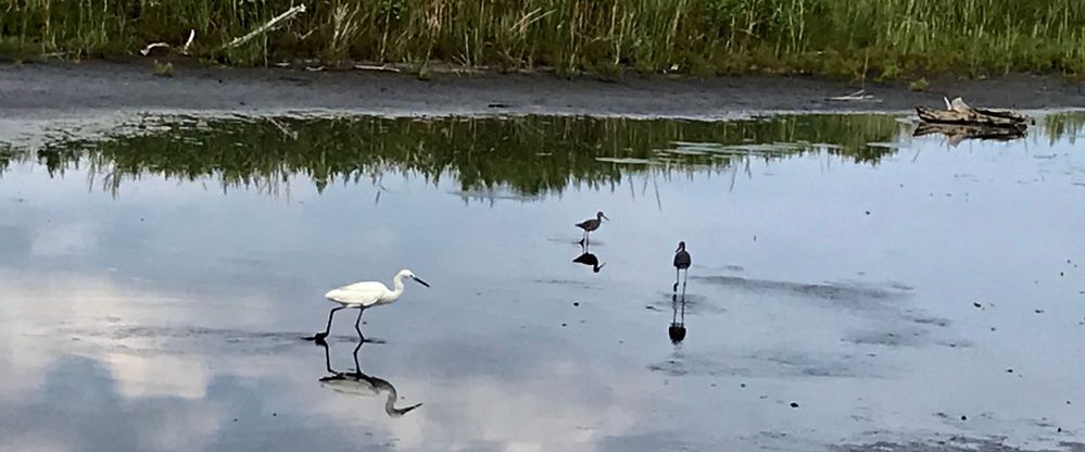 Saw these guys on my ride this afternoon
