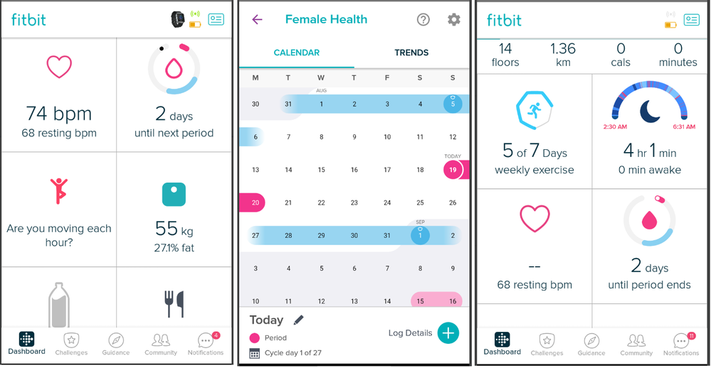 Female best sale health fitbit