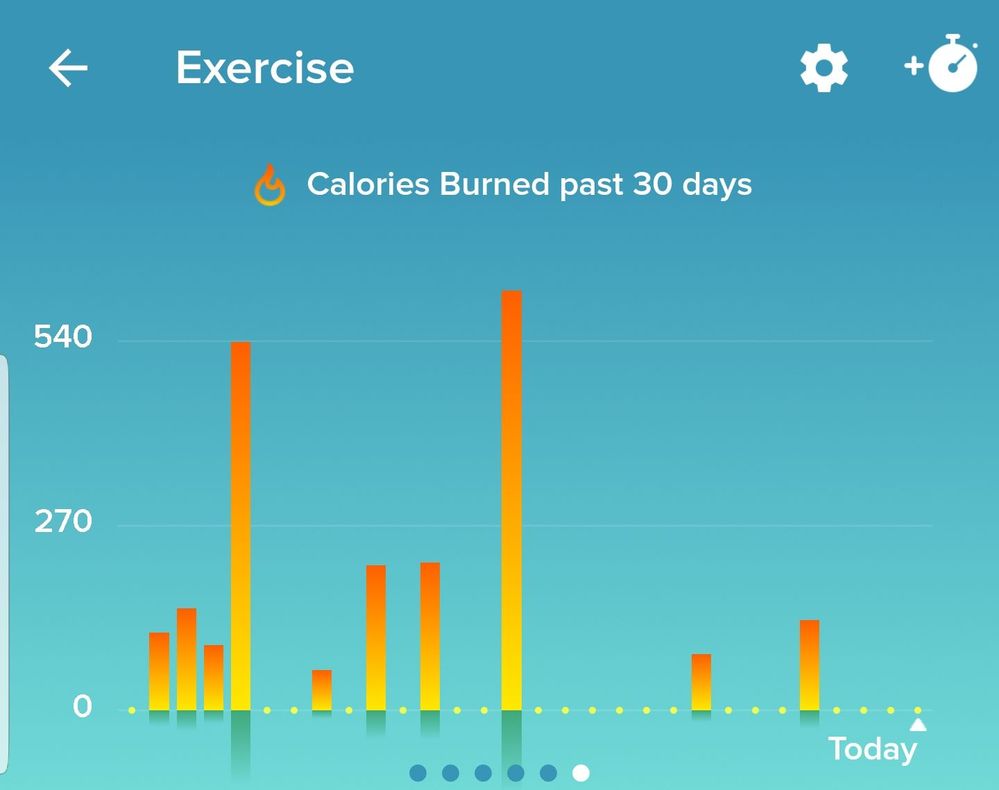 Calories burnt per day