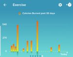 Calories burnt per day