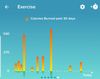 Calories burnt per day