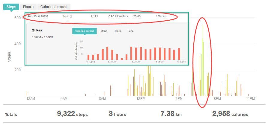 Activity record from effort.jpg