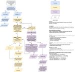 Violence & Abuse Workflow (2).jpg