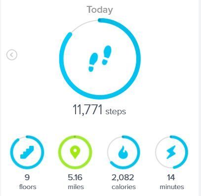 fitbit-2tracker-dashboard.JPG