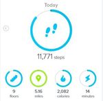 fitbit-2tracker-dashboard.JPG