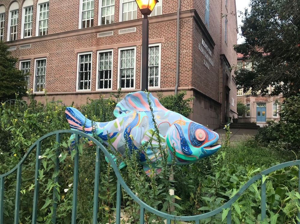 School of Fish -- Roland Park Middle School