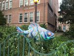School of Fish -- Roland Park Middle School
