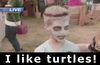 turtleslike.jpg