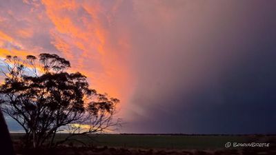 Close to sunset on the road from Mildura (Victoria) to Loxton (South Australia). There was a big dark cloud being chased by pretty pink clouds and blue sky.