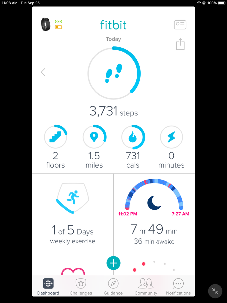 Fitbit Screenshot