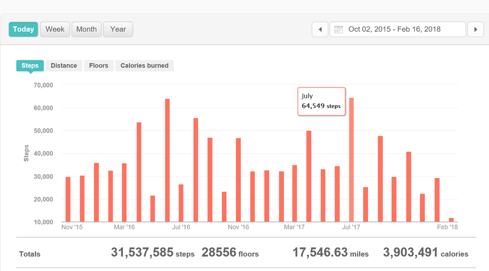 Fitbit total steps summary graph.png