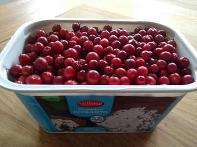 lingonberries.jpg