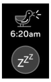 duck.png