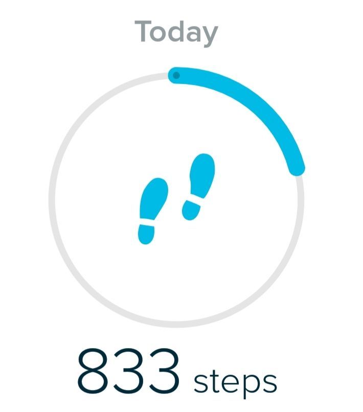 Fitbit App steps after synching