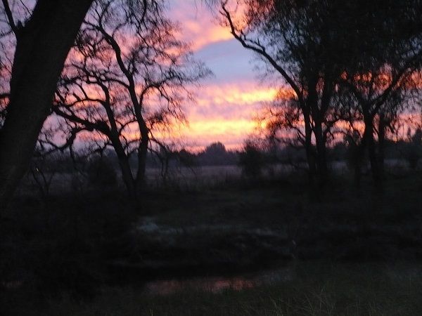 sunrise.jpg
