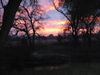 sunrise.jpg