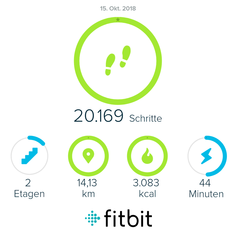 fitbit_sharing_5356392525253882508.png