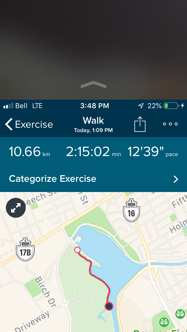 Fitbit run map hot sale