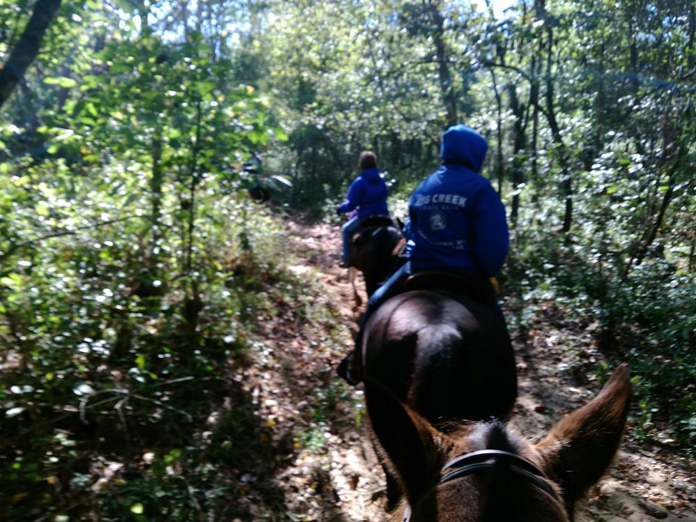 In the woods most of the time