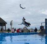 I can get it, I can get it ...