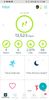 Fridays steps