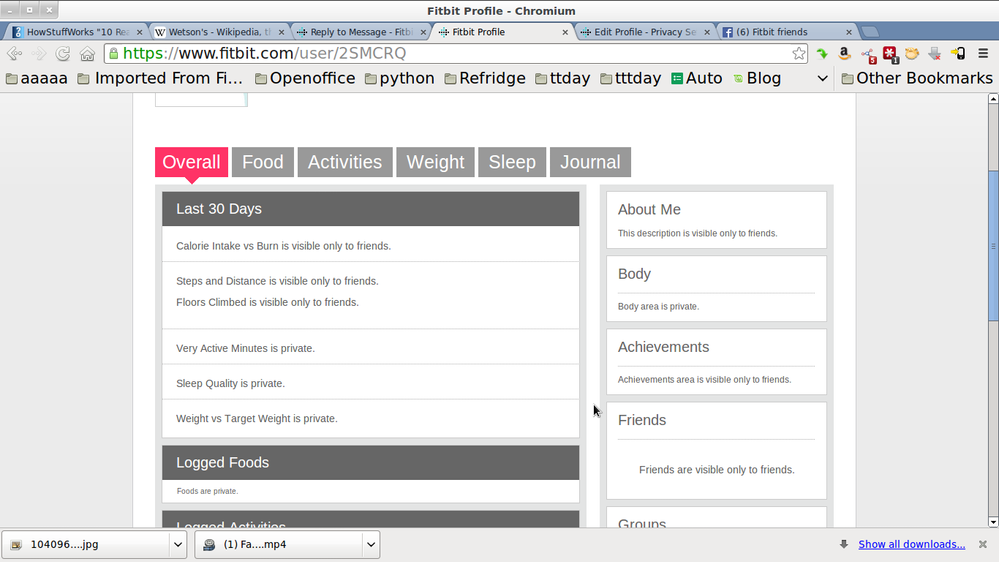 Screenshot-Fitbit Profile - Chromium.png