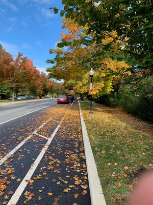 Fall bike ride - Baltimore