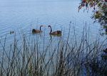 20181028_111334_resized.jpg