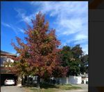 fall.jpg