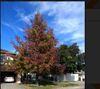 fall.jpg