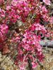 20181105_140540_resized.jpg