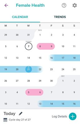 Log a day before.jpg