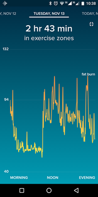 fitbit rate