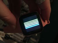 IMG_2546.JPG