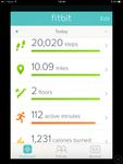 Fitbit site 10330467_4438455176418_5682446428134851206_n.jpg