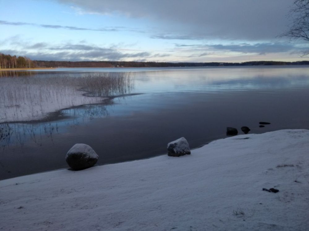 svartvik 26.11.2018.jpg