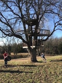 After our Thanksgiving meal, we took a walk down to the treehouse where my husband works.