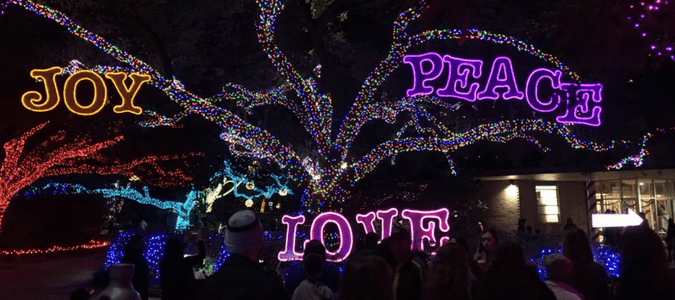 zoo-lights-houston-min.png