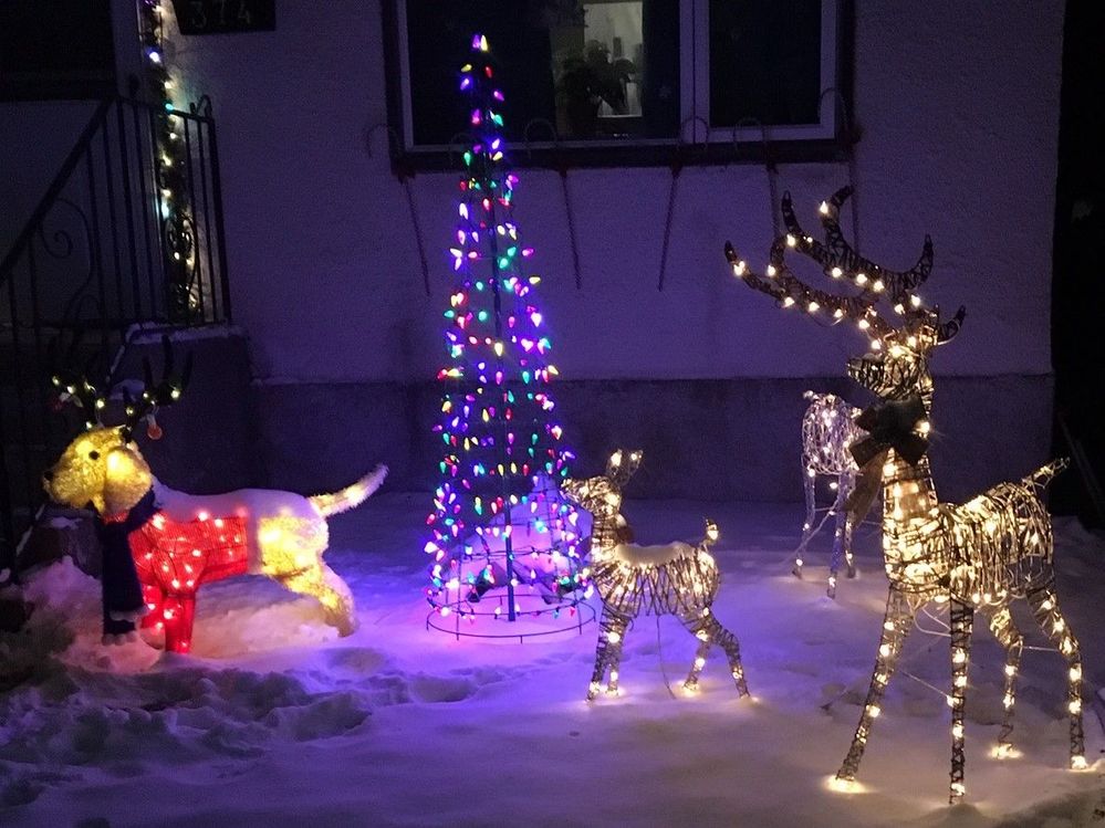 ...and more holiday lights