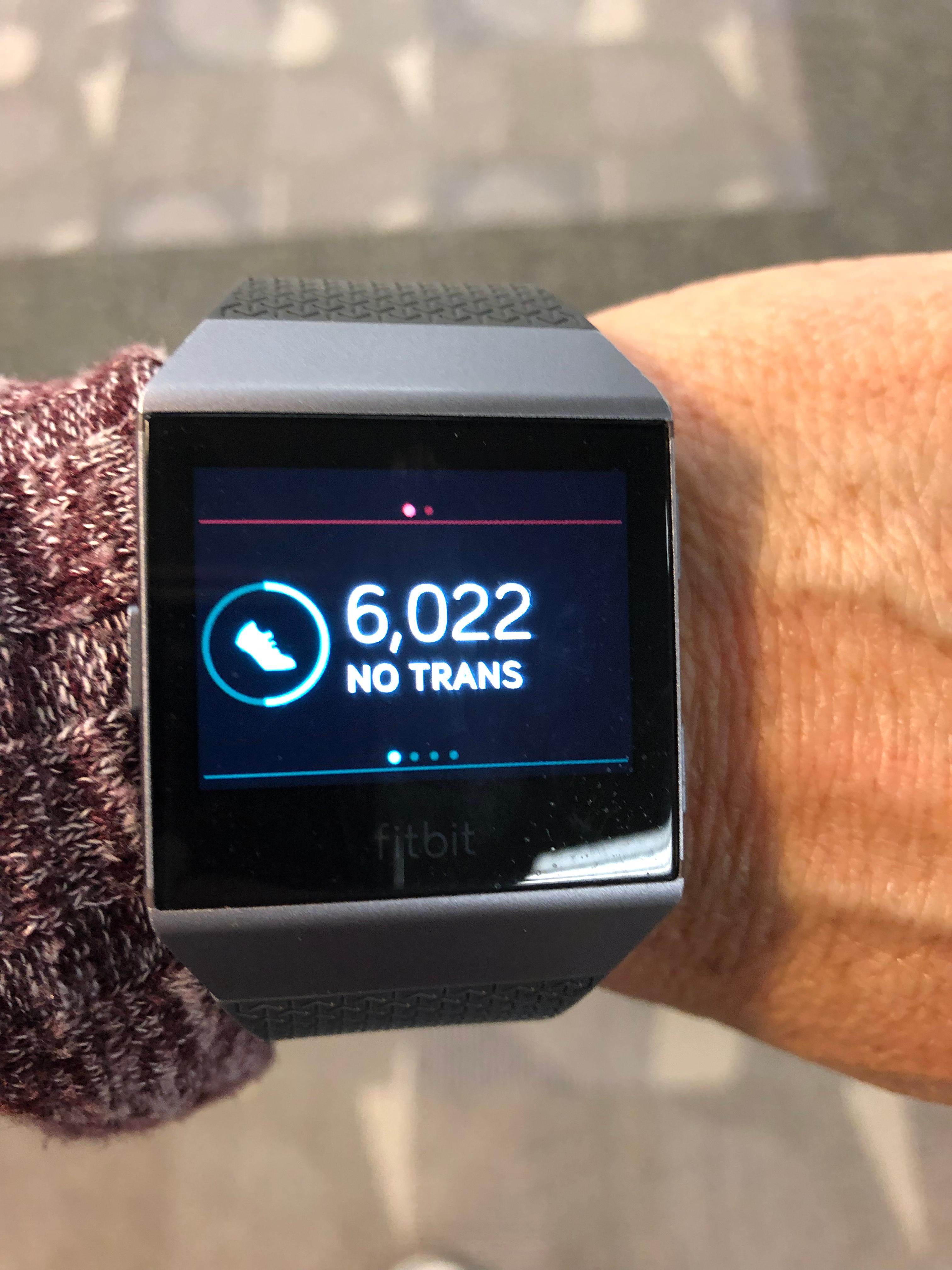 fitbit ionic firmware update