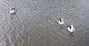 20181227_215400_resized.jpg