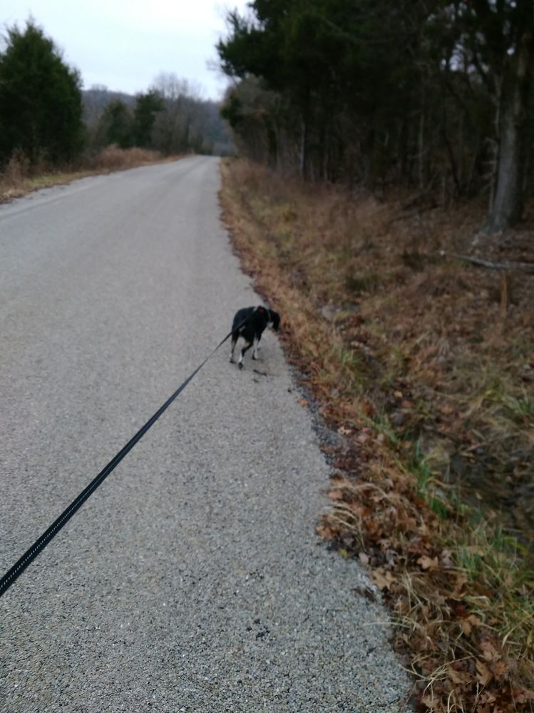 Jake leading the way!