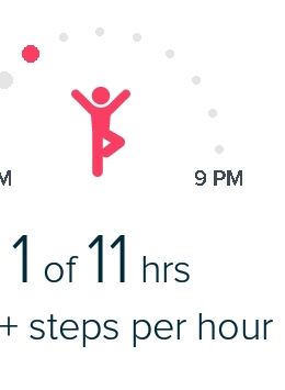 Screenshot_20190103-135140_Fitbit.jpg