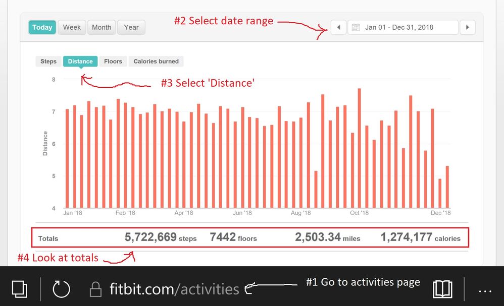 fitbit-annual-totals.jpg