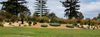 20190108_195556_resized.jpg