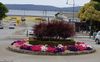 Topiary?