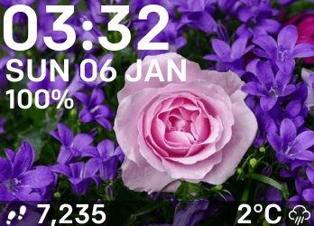 Flowers-screenshot-ionic.png