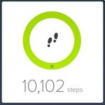 StepsNGDGoalMet.JPG
